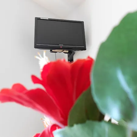 Apartamento Beethoven *